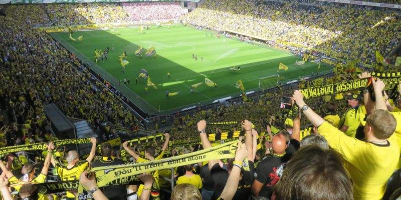 Từng bước sử dụng nền tảng Socolive